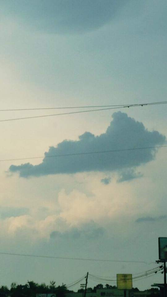 Kentucky shaped Cloud