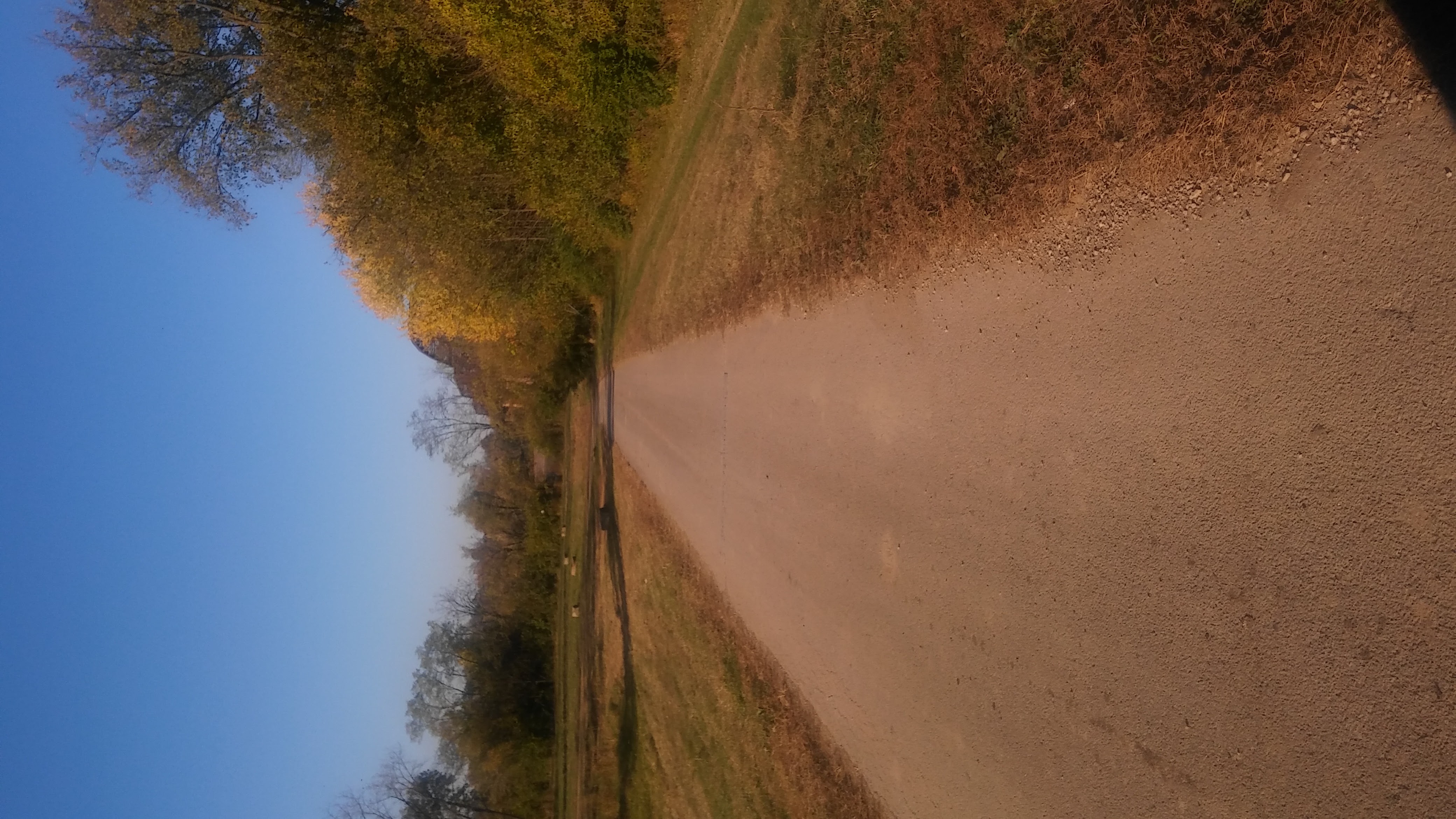 A dirt road going nowhere